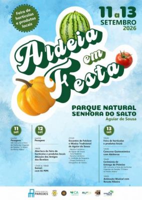 &ldquo;Aldeia em Festa&rdquo; regressa a Aguiar de Sousa de 11 a 13 de setembro
